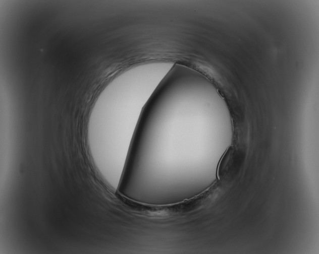 X0000085050309200703051050