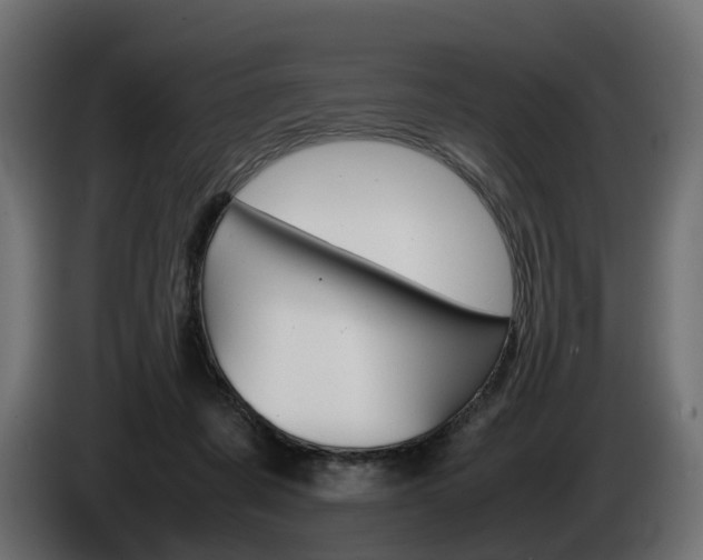 X0000085050311200703051050