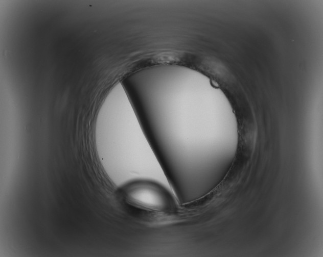 X0000085050315200703051050