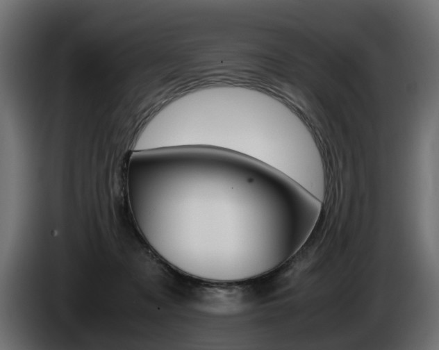 X0000085050317200703051050