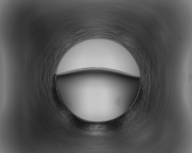 X0000085050319200703051050