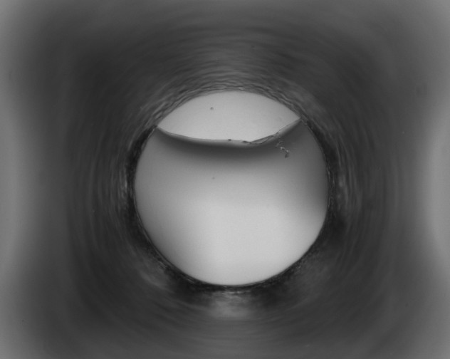 X0000085050320200703051050