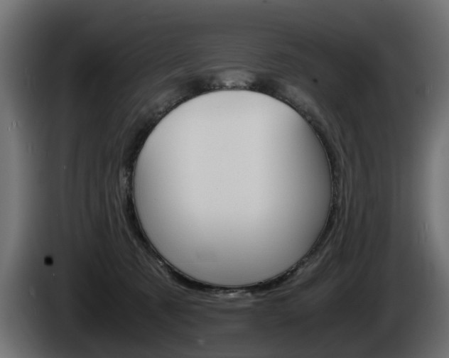 X0000085050321200703051050