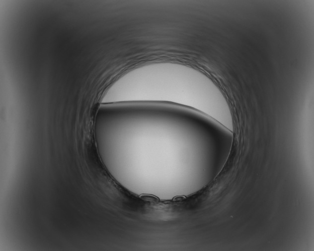 X0000085050325200703051050