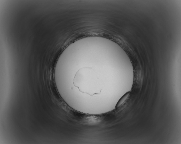 X0000085050326200703051050