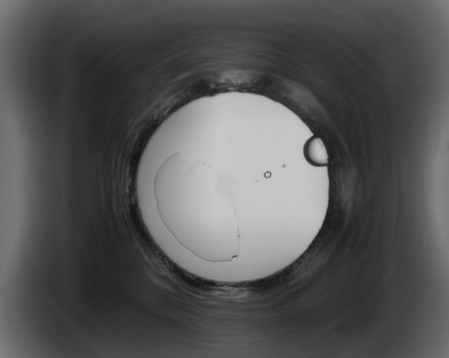 X0000085050328200703051050