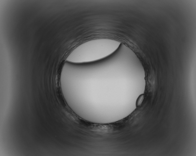 X0000085050330200703051050