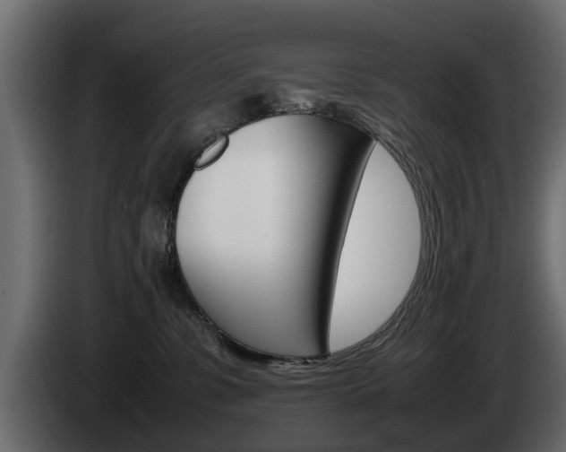 X0000085050331200703051050