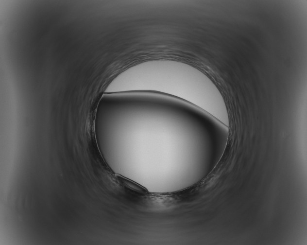 X0000085050333200703051050