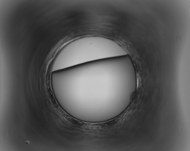 X0000085050339200703051049