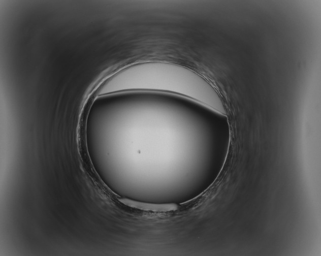 X0000085050340200703051049