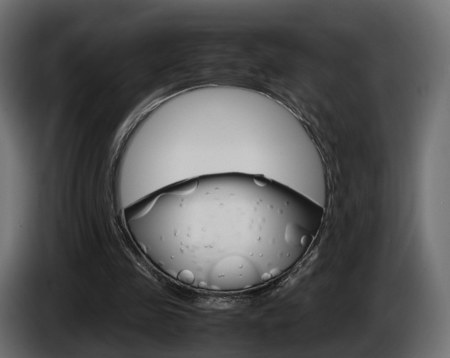 X0000085050341200703051049