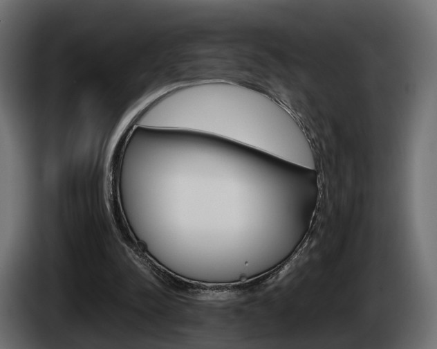 X0000085050342200703051049