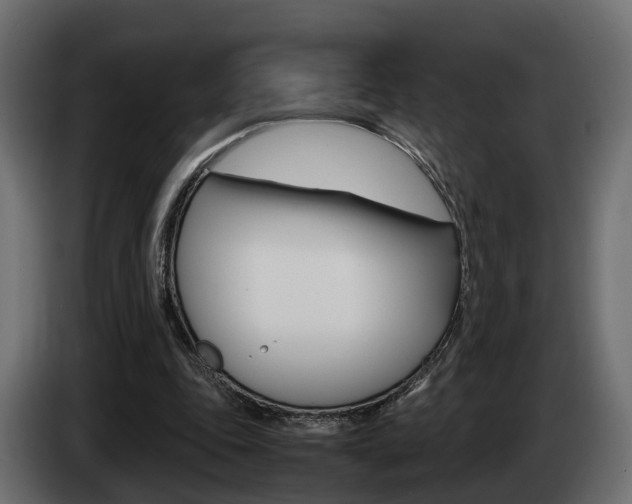 X0000085050343200703051049