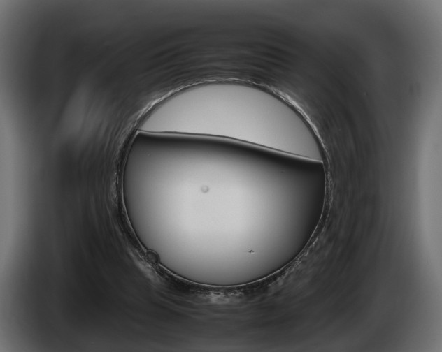 X0000085050345200703051049