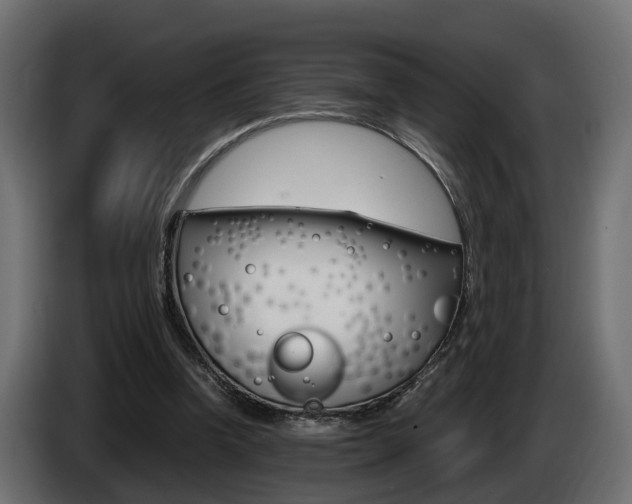 X0000085050346200703051049
