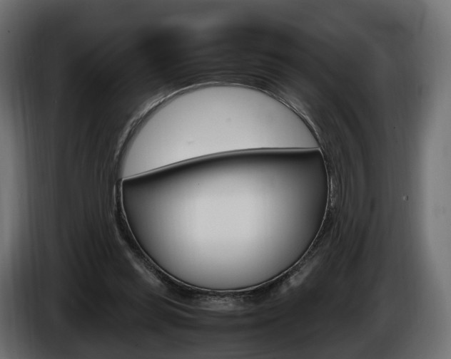 X0000085050349200703051049