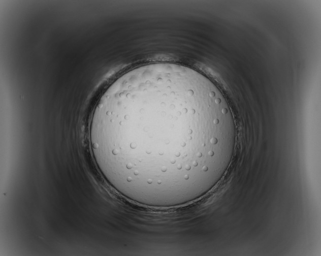X0000085050351200703051049