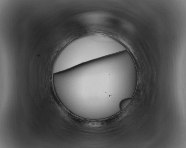 X0000085050353200703051049