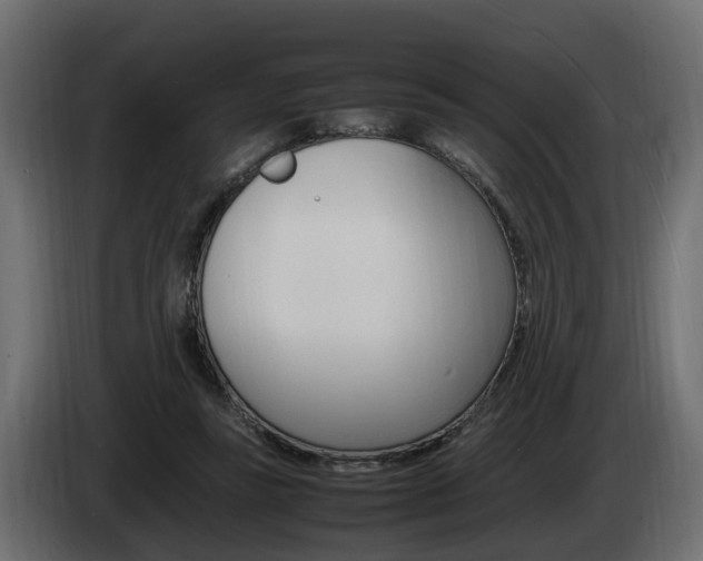 X0000085050355200703051050