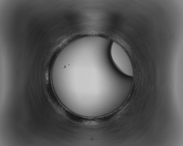 X0000085050358200703051050