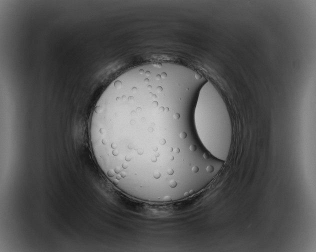 X0000085050359200703051050