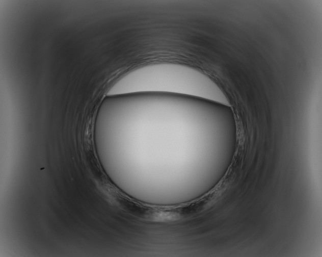 X0000085050360200703051050