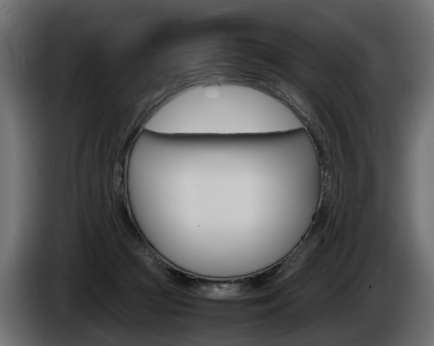 X0000085050361200703051050