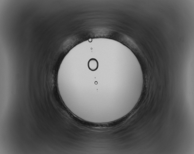 X0000085050362200703051050