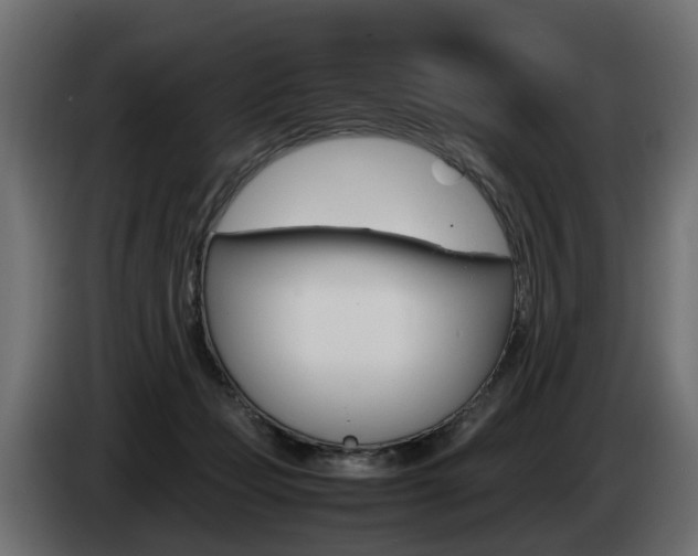X0000085050365200703051050