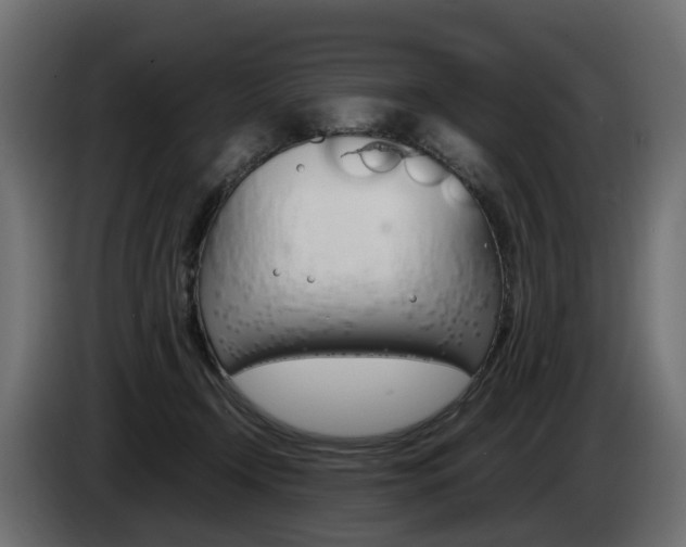 X0000085050366200703051050