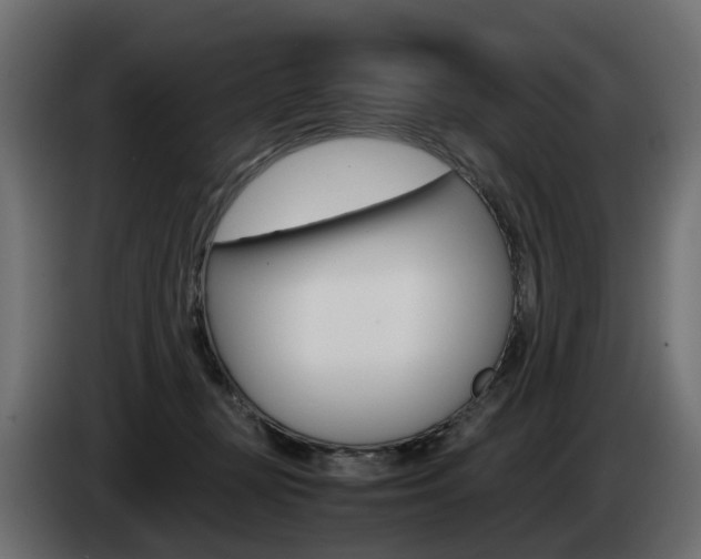 X0000085050367200703051050
