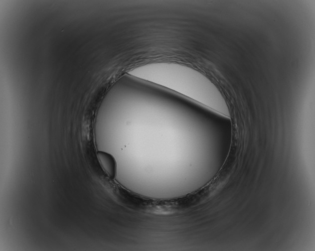 X0000085050368200703051050