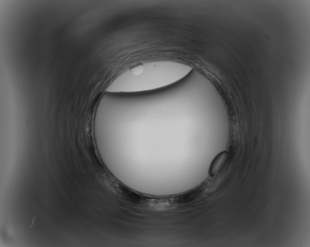 X0000085050373200703051050