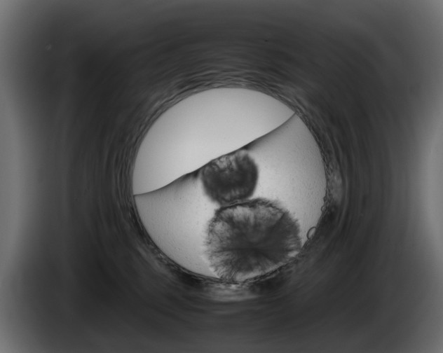 X0000085050375200703051050