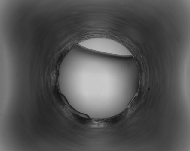 X0000085050376200703051050