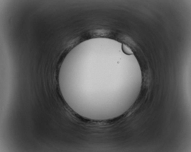 X0000085050377200703051050