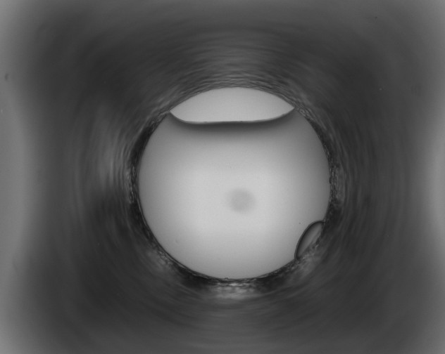 X0000085050378200703051050
