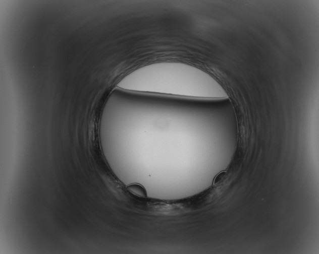 X0000085050379200703051050