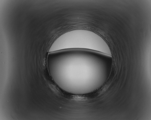 X0000085050380200703051050