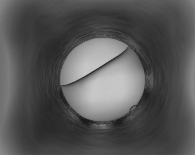X0000085050381200703051050