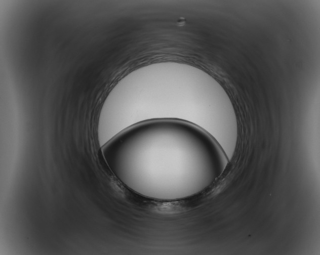 X0000085050382200703051050