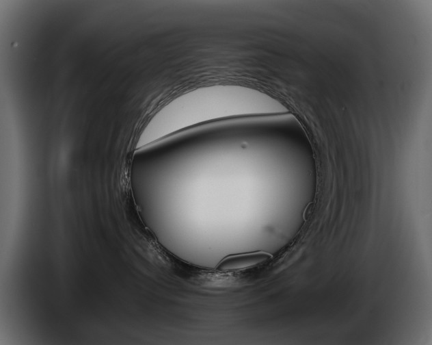 X0000085050384200703051050