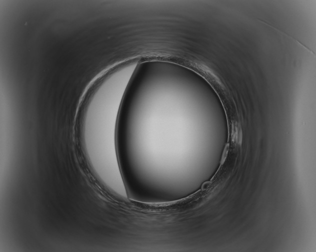 X0000085050388200703051049