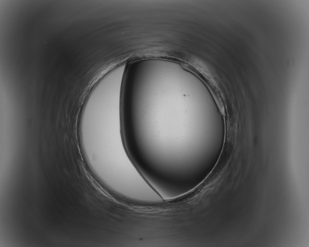 X0000085050389200703051049