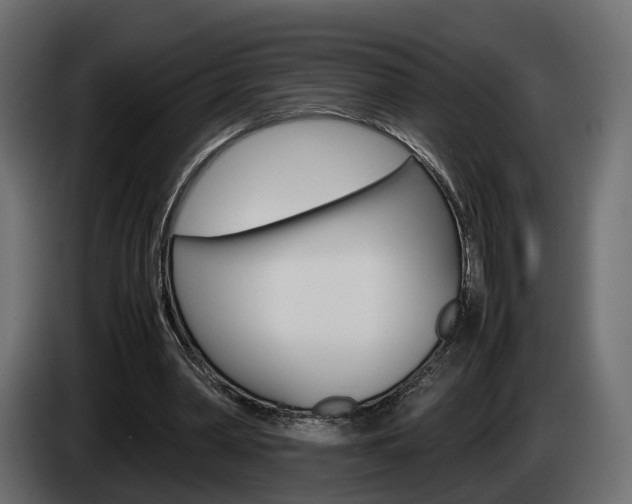 X0000085050390200703051049