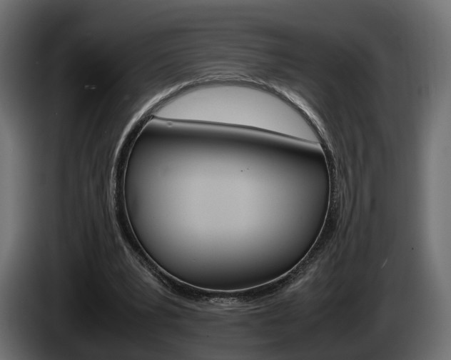 X0000085050391200703051049