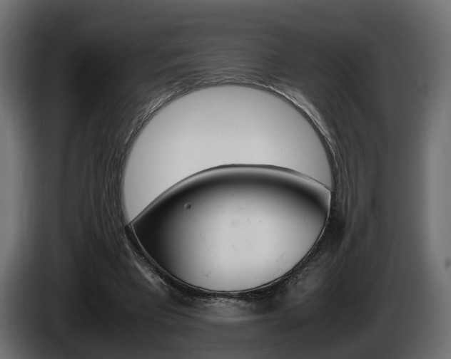 X0000085050393200703051049