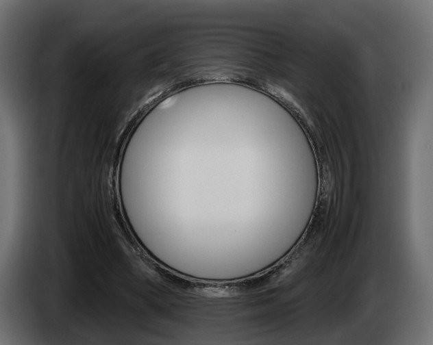X0000085050394200703051049