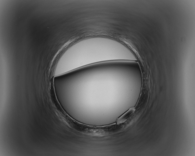 X0000085050395200703051049